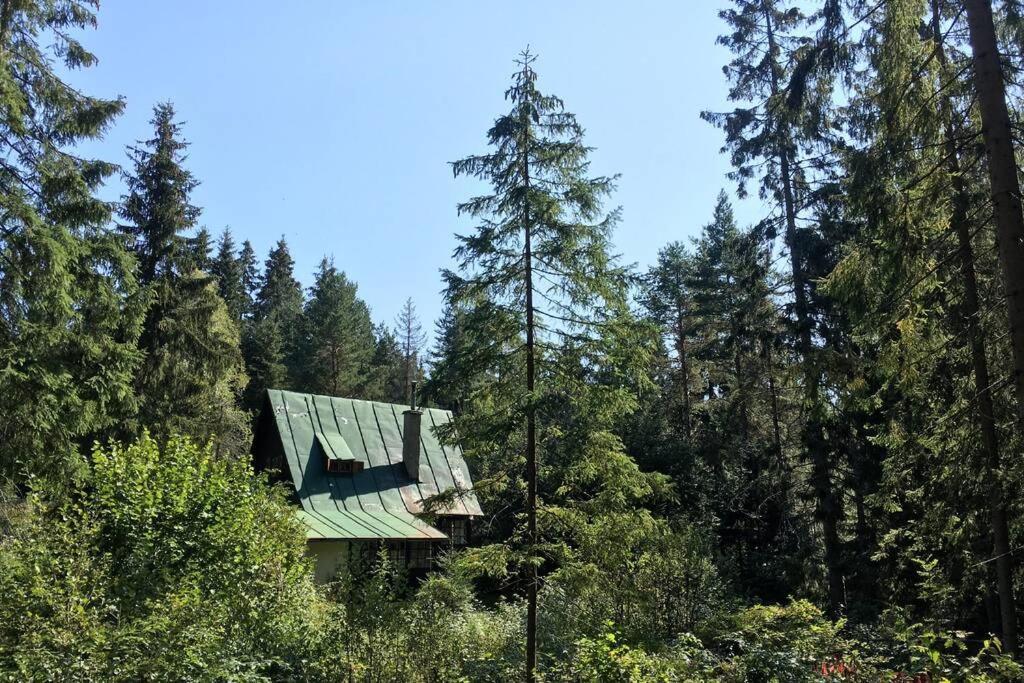 Enchanted Forest Chalet Tatranska Strba Buitenkant foto