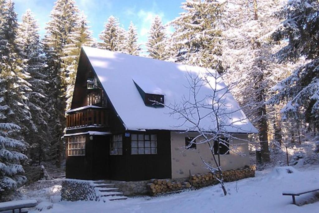 Enchanted Forest Chalet Tatranska Strba Buitenkant foto
